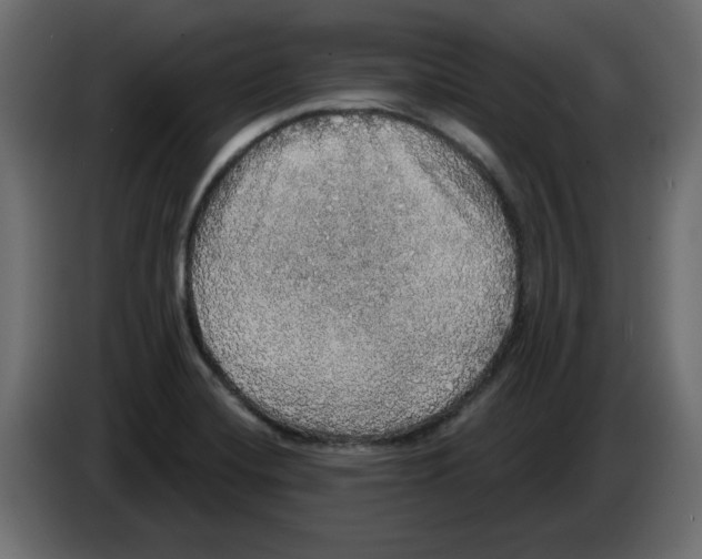 X0000084581420200703231833