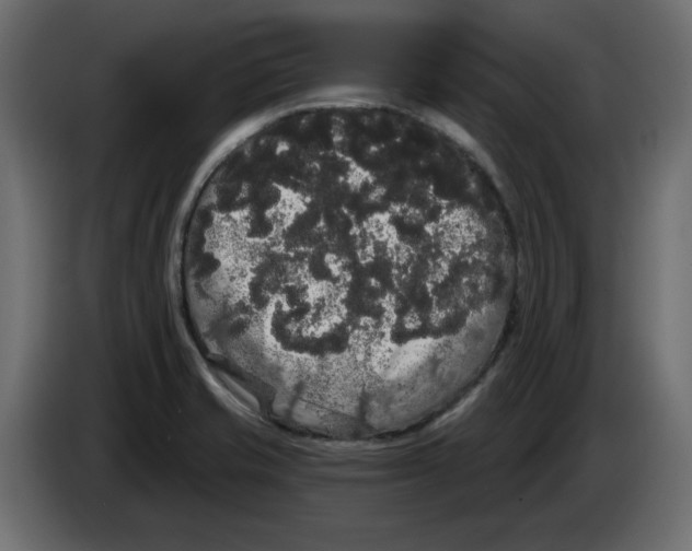 X0000084581421200703231833