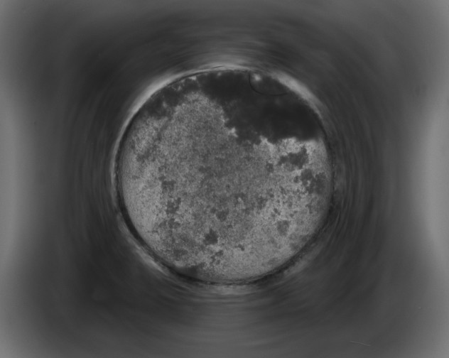 X0000084581423200703231833