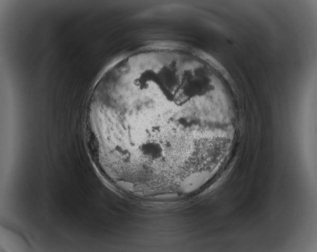 X0000084581425200703231833
