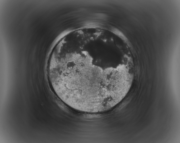 X0000084581427200703231833