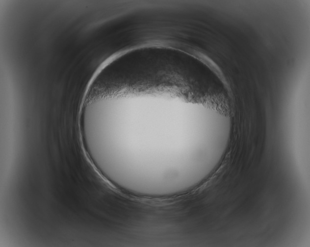 X0000084581428200703231833