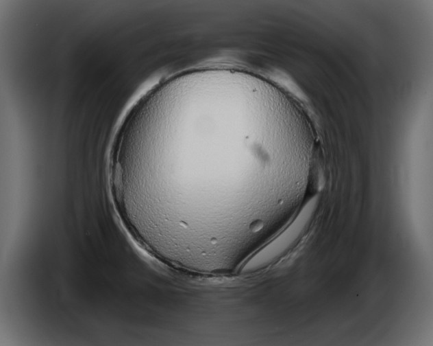 X0000084581430200703231833