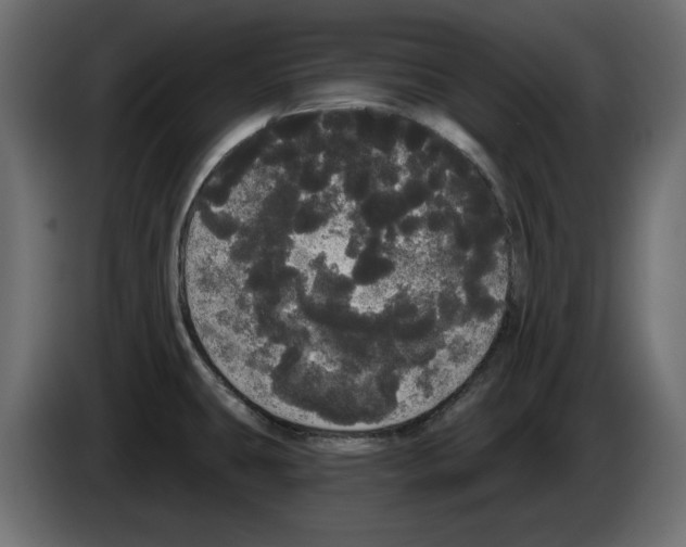 X0000084581431200703231833