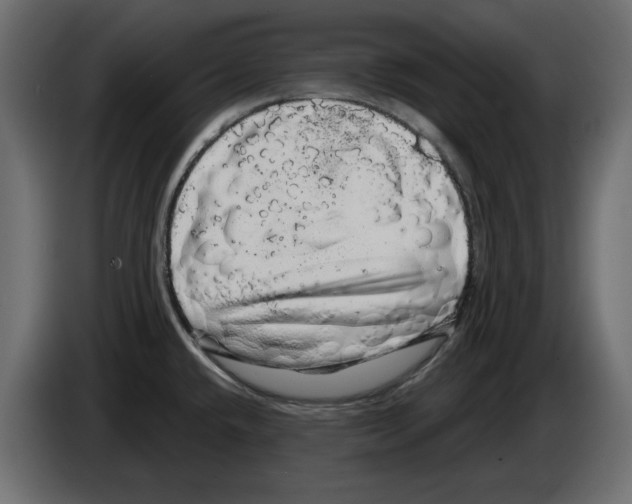 X0000084581432200703231833