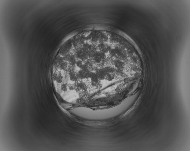 X0000084581433200703231833