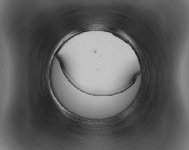 X0000084581434200703231833