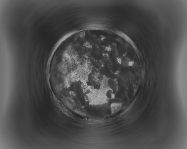 X0000084581435200703231833