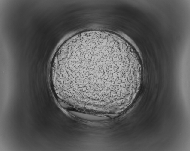 X0000084581437200703231833