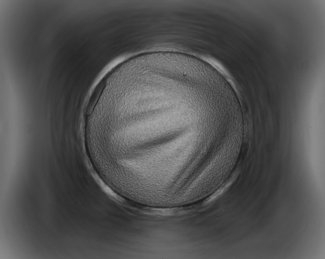 X0000084581438200703231833