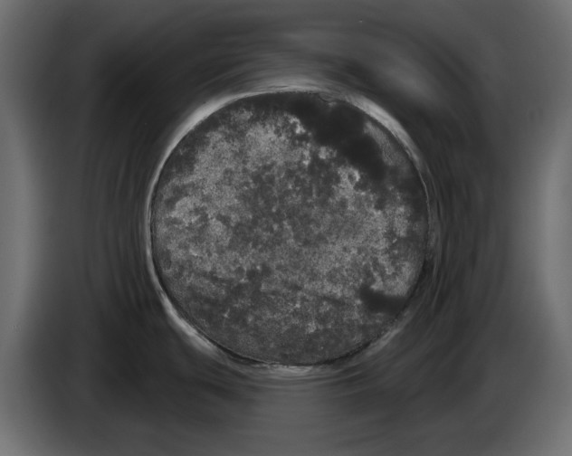 X0000084581439200703231833