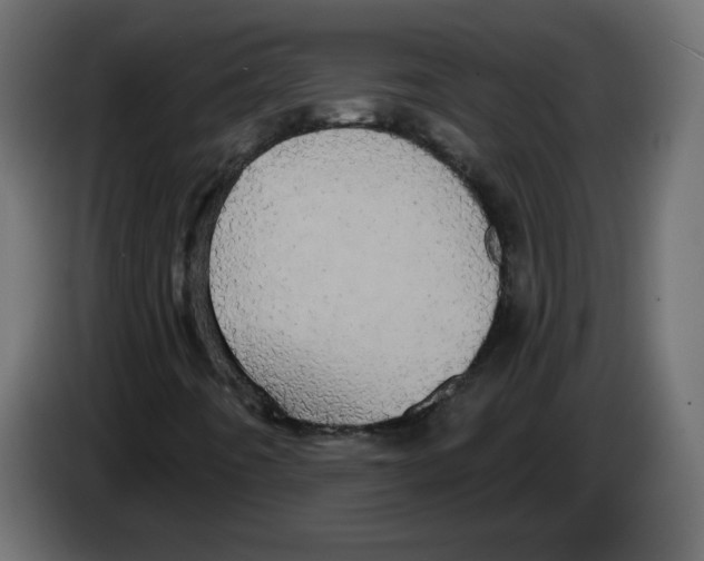 X0000084581442200703231833