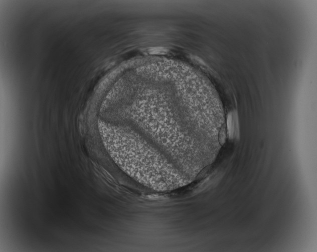 X0000084581443200703231833