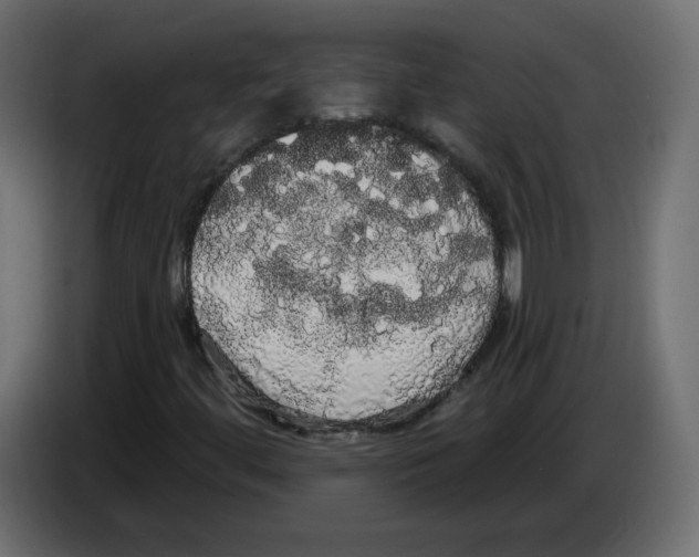 X0000084581444200703231833