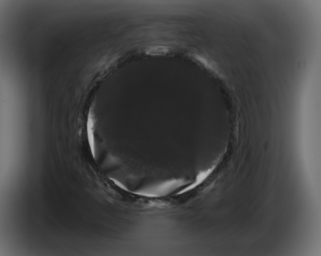 X0000084581445200703231833