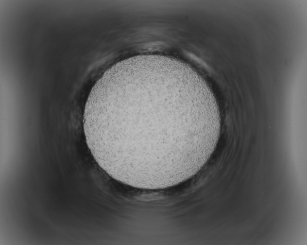 X0000084581447200703231833
