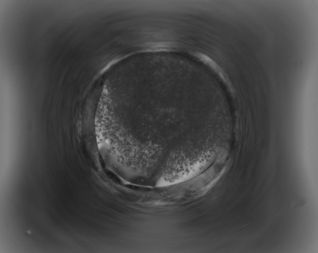 X0000084581449200703231833