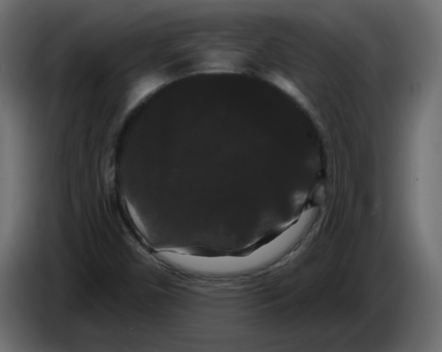 X0000084581450200703231833