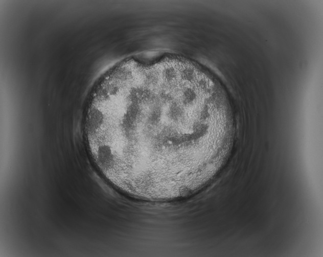 X0000084581452200703231833