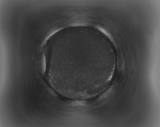 X0000084581453200703231833