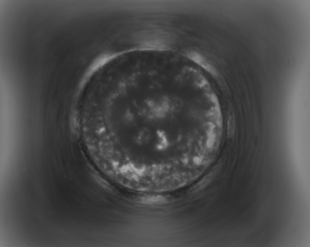 X0000084581454200703231833