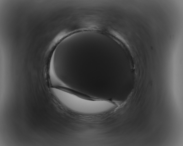 X0000084581455200703231833