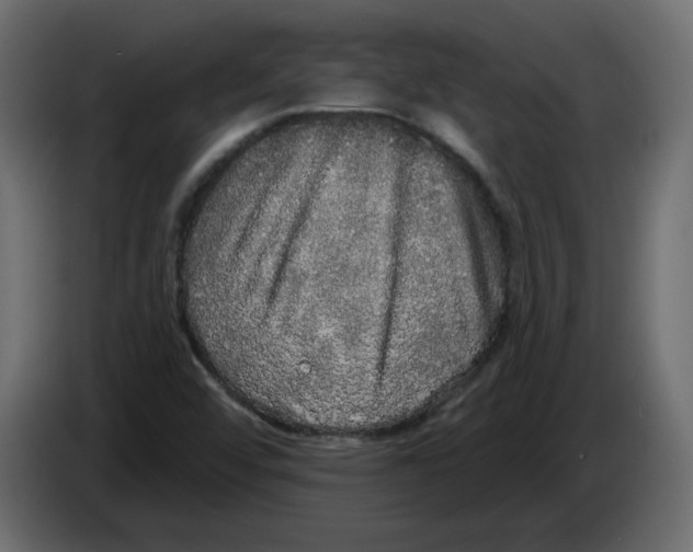 X0000084581456200703231833