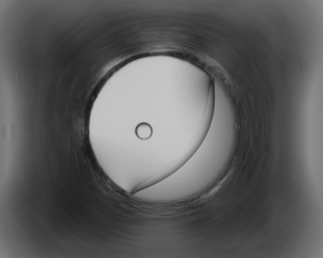 X0000084581457200703231833