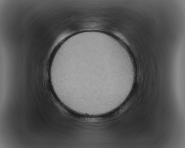 X0000084581458200703231833