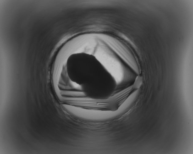 X0000084581459200703231833