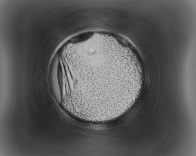 X0000084581460200703231833