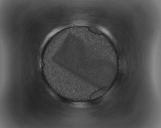 X0000084581461200703231833