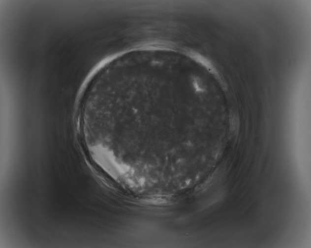 X0000084581462200703231833