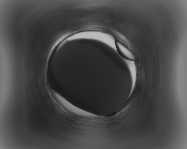 X0000084581463200703231833