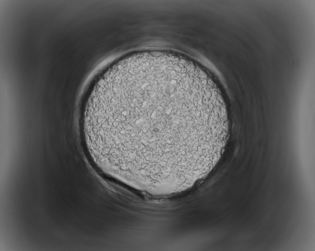 X0000084581464200703231832