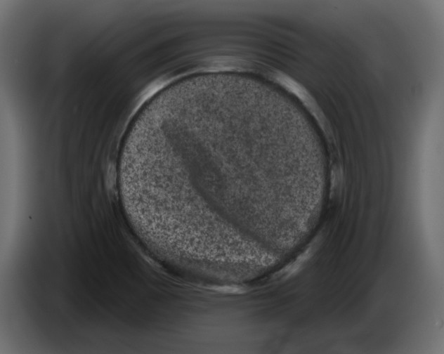 X0000084581465200703231832