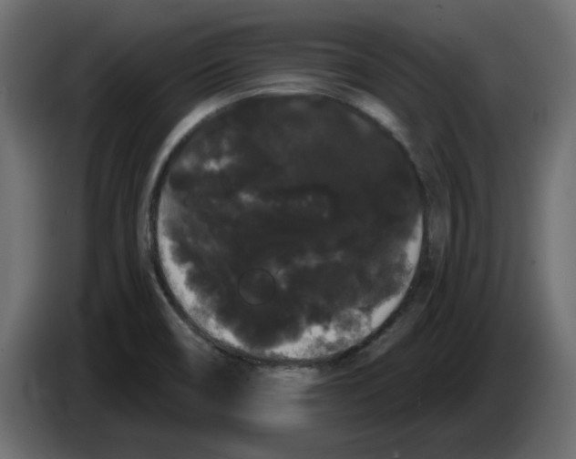 X0000084581466200703231832