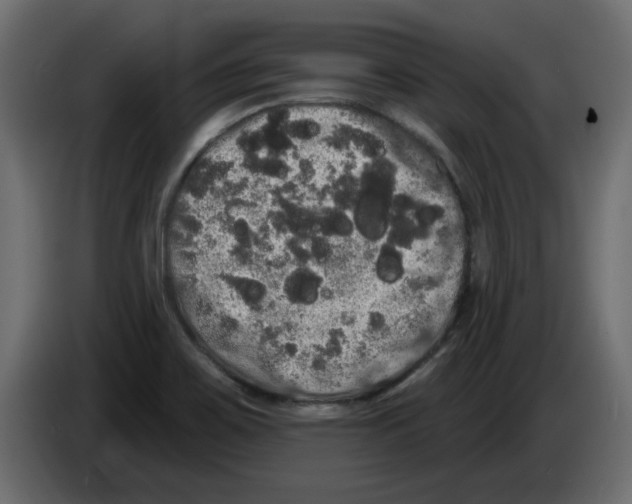 X0000084581467200703231832