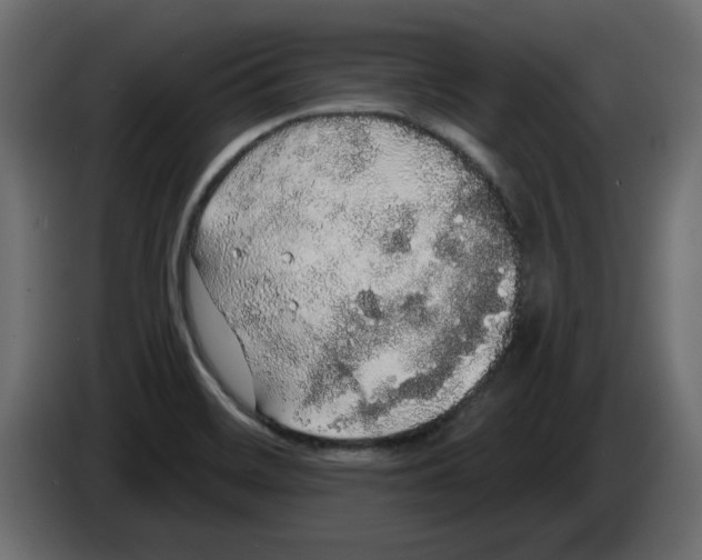 X0000084581468200703231832