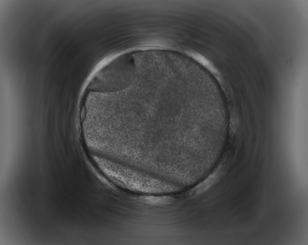 X0000084581469200703231832