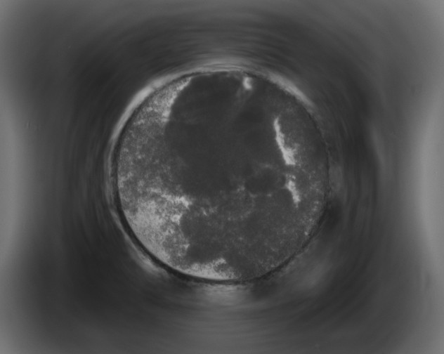 X0000084581470200703231832