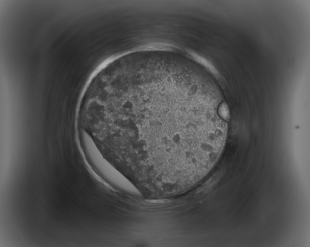 X0000084581471200703231832
