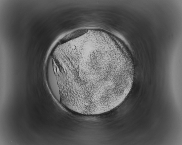 X0000084581472200703231832