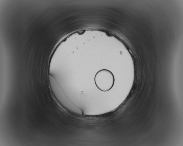 X0000084581473200703231832