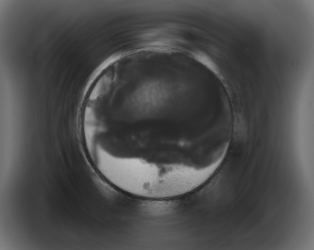 X0000084581474200703231832
