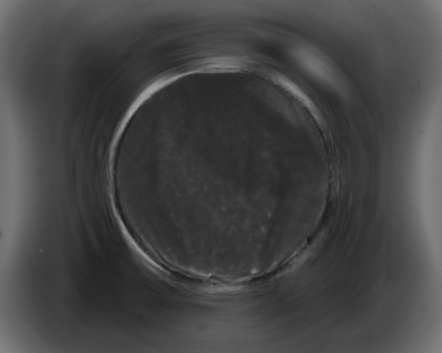 X0000084581475200703231832