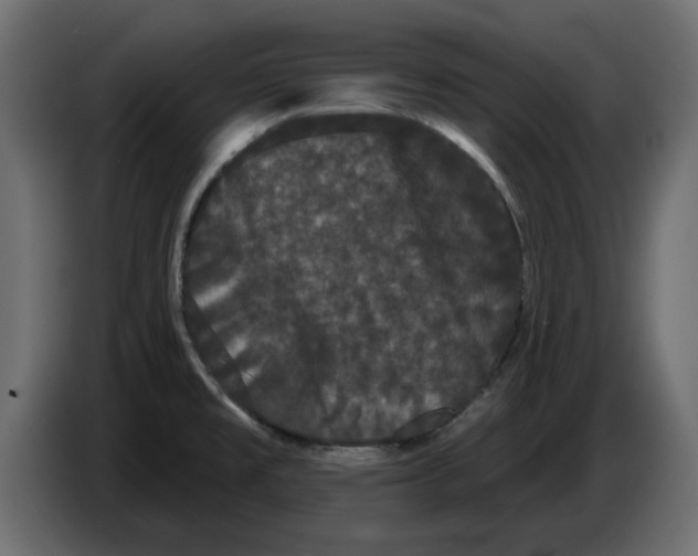 X0000084581477200703231832
