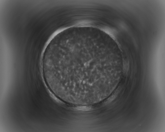 X0000084581478200703231832