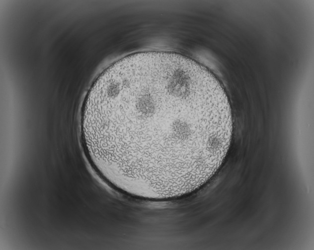 X0000084581479200703231832