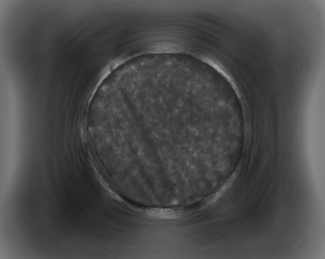 X0000084581481200703231832